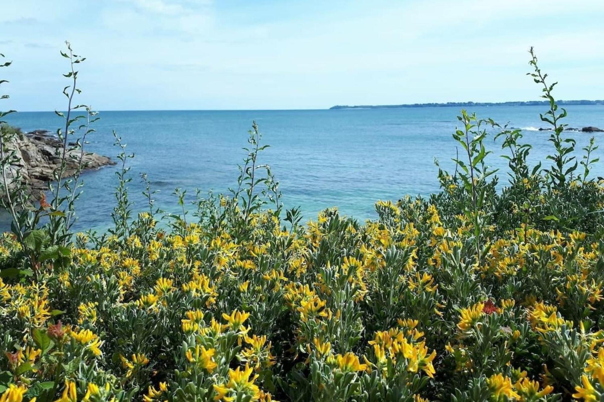 LOVELY ! T2 de standing face à la rade Larmor-Plage Extérieur photo